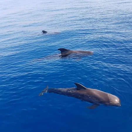 Lägenhet Vistas View *